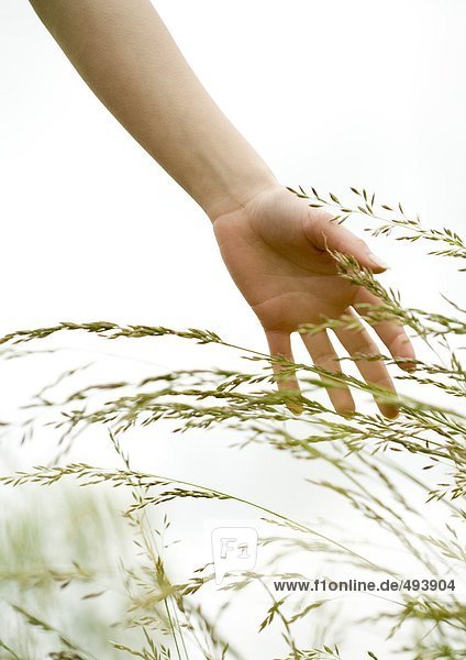 Frauenhand berührt Gras