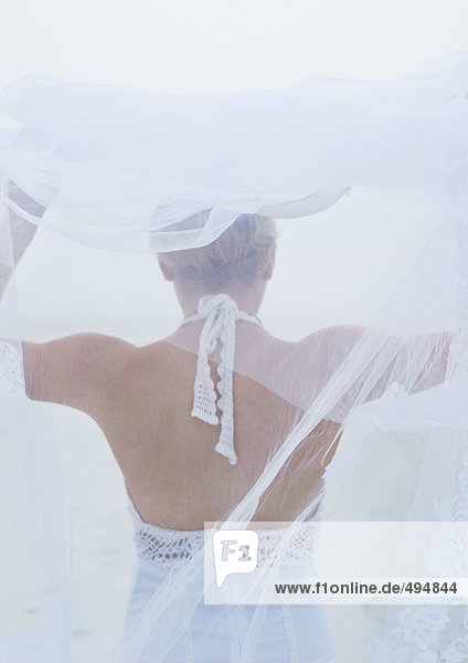 Bride holding up veil  rear view