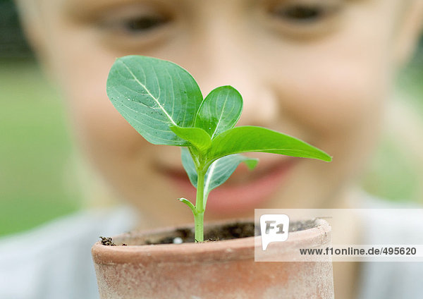 Kind schaut auf Setzling im Topf gepflanzt