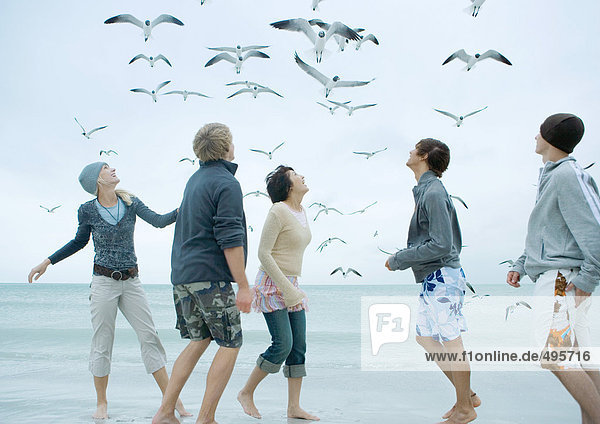 Group of young adults on beach  looking up at seagulls