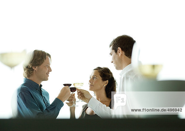 People making a toast with glasses of wine