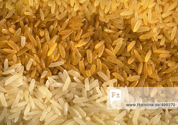 Verschiedene Variationen von Reis  Nahaufnahme