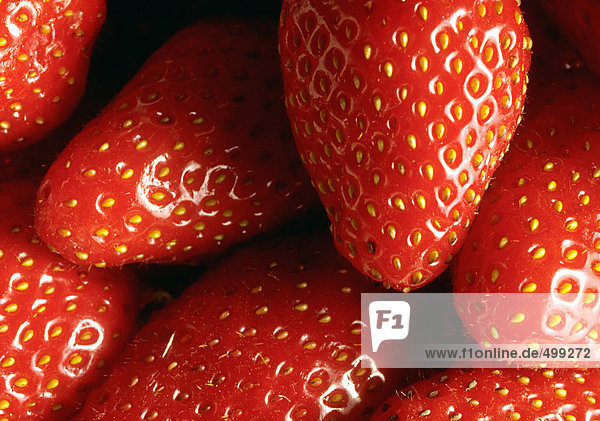 Erdbeeren  Nahaufnahme