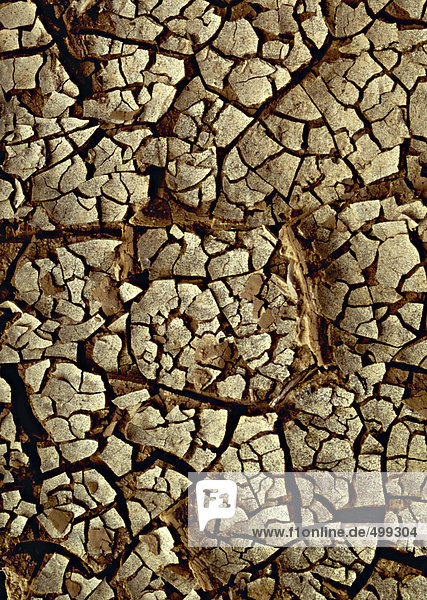 Cracked soil  close-up  full frame