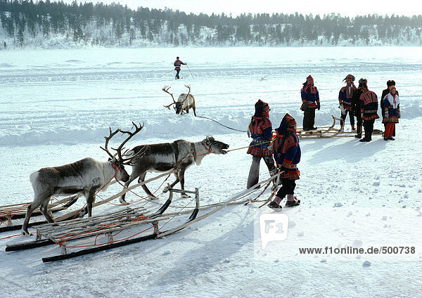 Finnland  Saami mit Schlitten und Rentier im Schnee