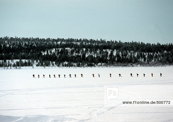 Finland  cross-country skiers