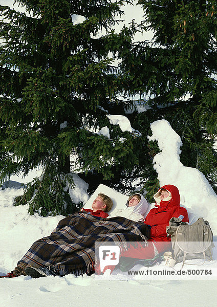 Sweden  hikers sleeping near fir tree