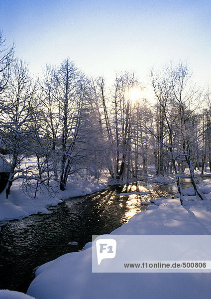 Schweden  verschneite Wälder mit Bach und Sonnenschein
