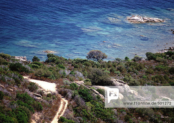 Küstenlandschaft  Korsika  Frankreich