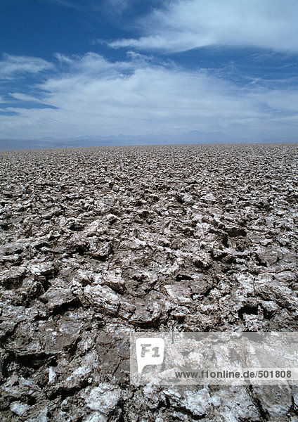 Chile  El Norte Grande  Salzwüste