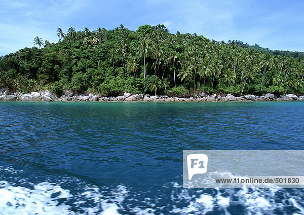 Malaysia  palmenbedeckte Insel