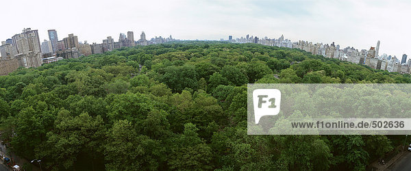 Vereinigte Staaten  New York  Central Park  Baumkronen mit Skyline im Hintergrund  Panoramablick