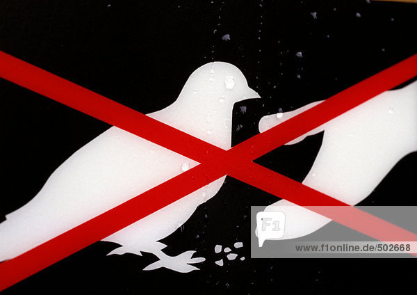 No feeding pigeons sign  close-up