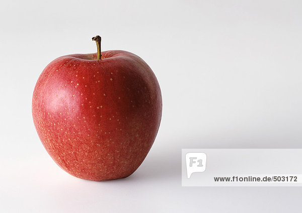 Roter Apfel mit Stiel  aufrecht stehend  weißer Hintergrund