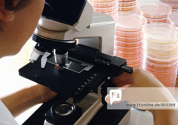 Person using microscope  close-up  stacks of petri dishes in background