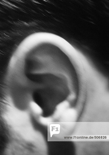 Man's ear  blurred  close-up  black and white.
