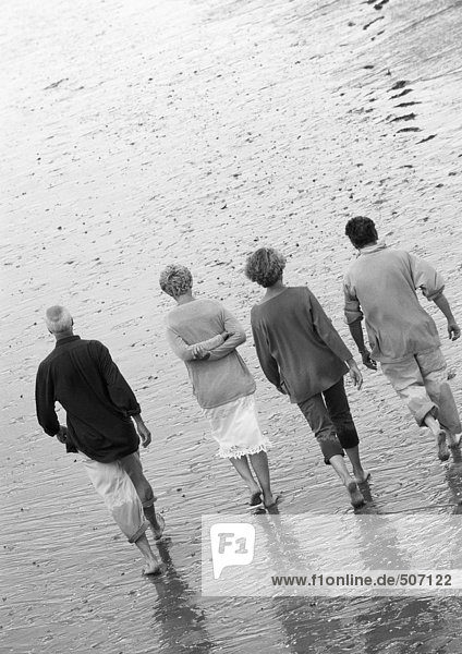 Four mature adults walking down the beach  view from rear  B&W.