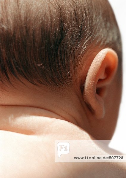 Baby's ear  rear view  close-up