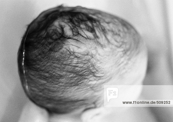 Baby's wet head  high angle view  close-up  b&w