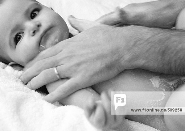 Man's hands rubbing in baby powder on baby's torso  close-up  b&w