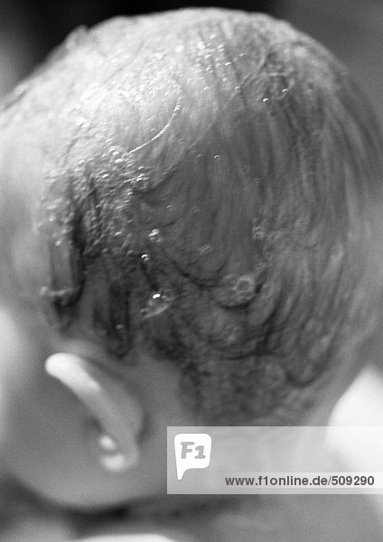Baby's head with shampoo in hair,  rear view,  close-up,  b&w
