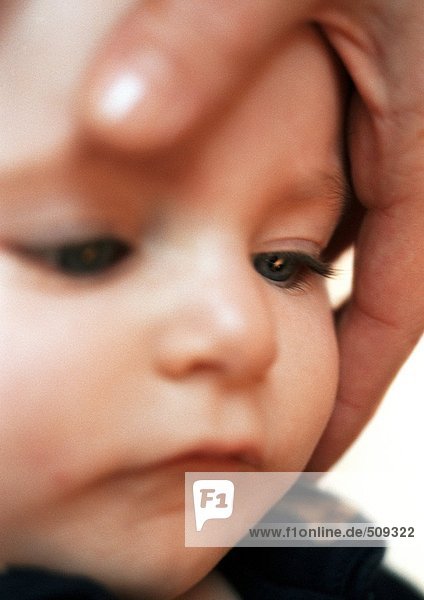 Adult hand around baby's face  close-up