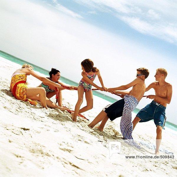 Group of people playing tug of war on the beach