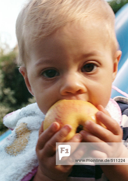 Baby isst Apfel  Nahaufnahme.