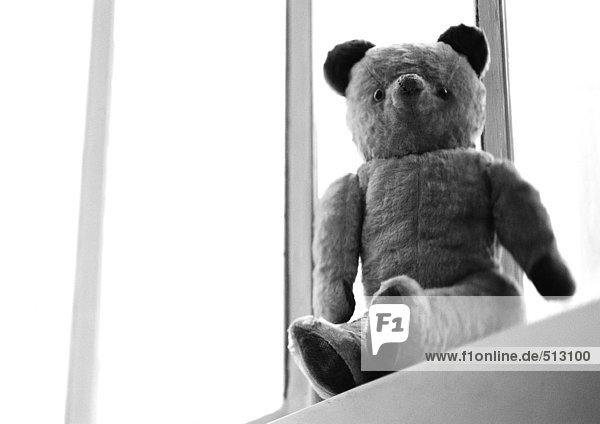 Teddybär  Tiefblick  s/w.