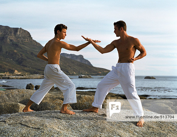 Two men performing martial arts  side view.