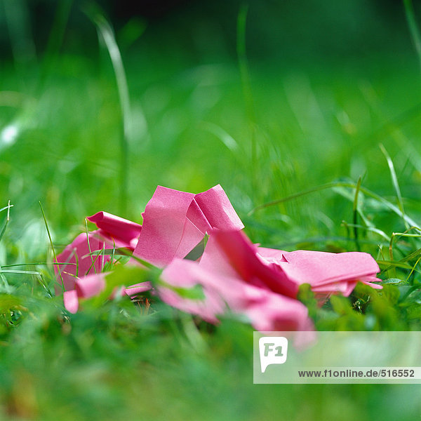 Zerknittertes rosa Papier im Gras