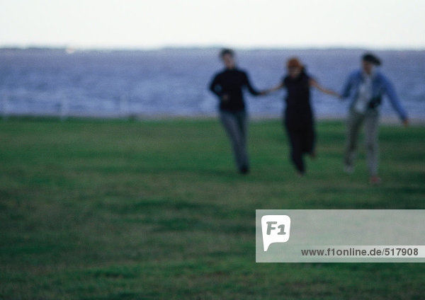 Drei Frauen  Hand in Hand  rennen über das Grasfeld  Meer im Hintergrund
