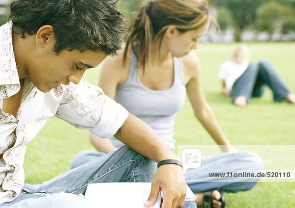Studenten sitzen auf Rasen  studieren