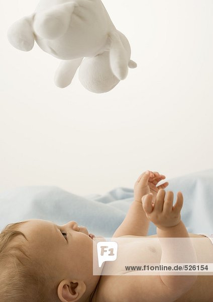 Baby lying on back  looking up at toy