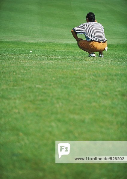 Golfer crouching on green  rear view