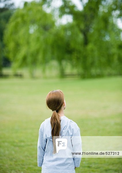Mädchen mit Blick über das Feld  Rückansicht