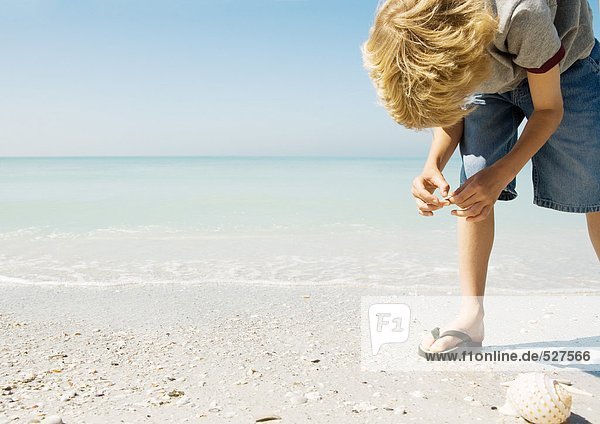 Child picking up seashells on beach