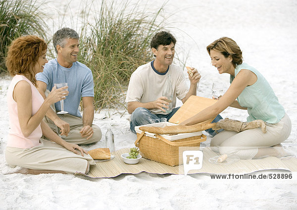 Two mature couples having picnic on beach