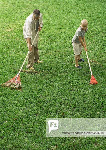 Man and daughter raking grass