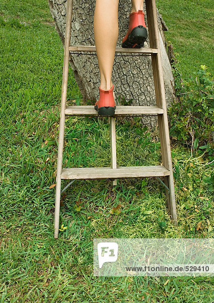 Woman climbing ladder next to tree  view of legs