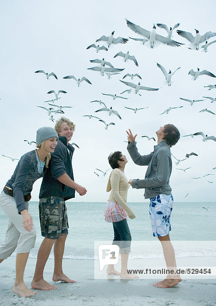 Gruppe junger Freunde beim Füttern von Möwen am Strand