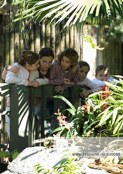 Kindergruppe mit Blick über das Geländer im Wildpark