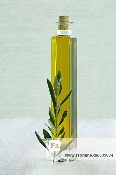 Flasche Olivenöl mit Zweig  Nahaufnahme