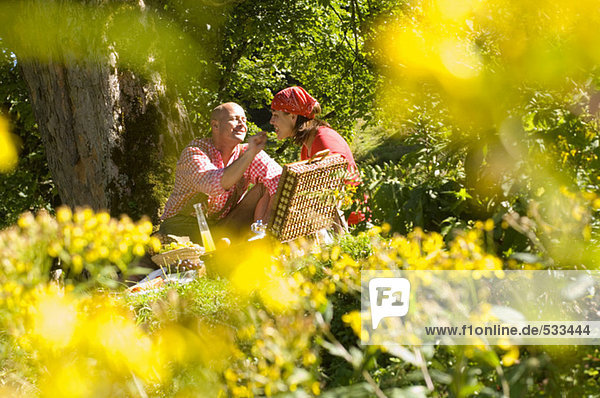 Couple having picnic under tree,  man feeding woman