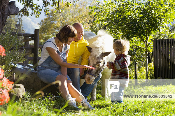 Eltern mit Kind im Garten sitzend  mit Pony spielend