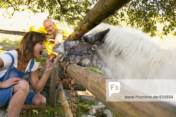 Frau füttert Pony