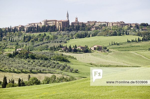 Italy  view to Pienza