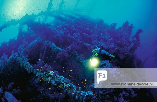 Scuba diver flashing light on train wreck underwater  Brother Island