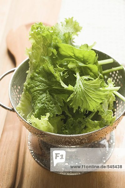 Frisch gewaschener Blattsalat im Salatsieb