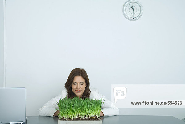 Woman leaning over tray of wheatgrass